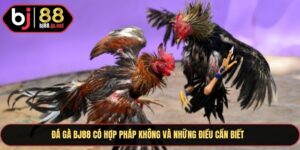 Đá gà Bj88 có hợp pháp không