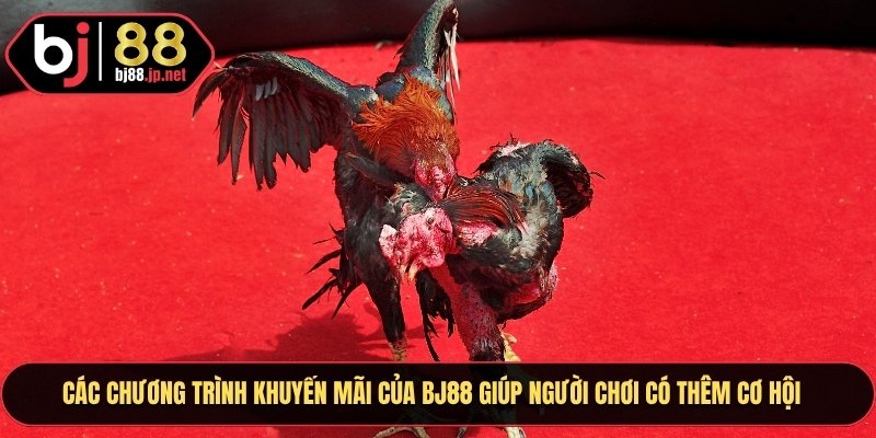 Các chương trình ưu đãi  khuyến mãi của Bj88 giúp bạn có thêm siêu nhiều cơ hội chơi