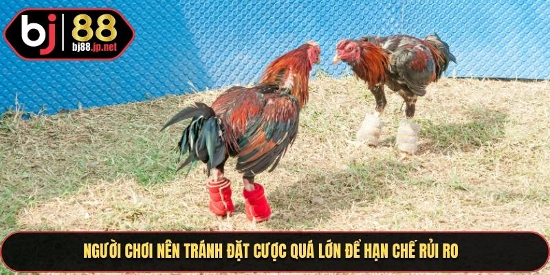 Người chơi nên tránh đặt cược quá lớn để hạn chế rủi ro