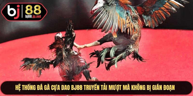 Hệ thống đá gà cựa dao BJ88 truyền tải mượt mà không bị gián đoạn