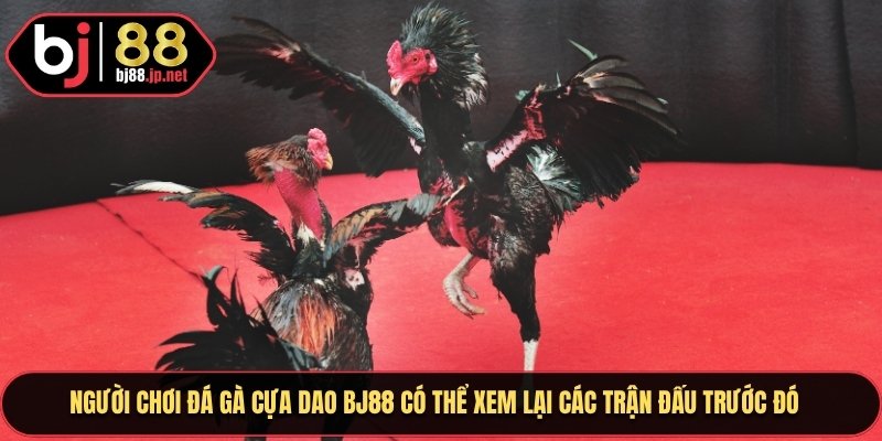 Người chơi đá gà cựa dao BJ88 có thể xem lại các trận đấu trước đó