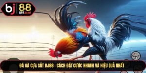Đá Gà Cựa Sắt Bj88
