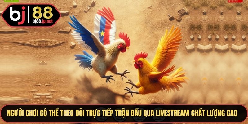 Đá Gà Cựa Sắt Bj88 - Cách Đặt Cược Nhanh Và Hiệu Quả Nhất 3 Người chơi có thể theo dõi trận đấu qua các buổi livestream chất lượng HD cực cao
