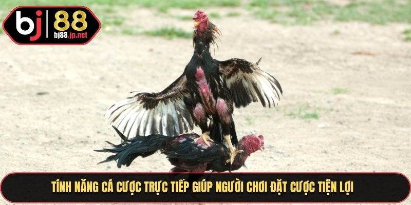 Tính năng cá cược trực tiếp giúp người chơi đặt cược tiện lợi