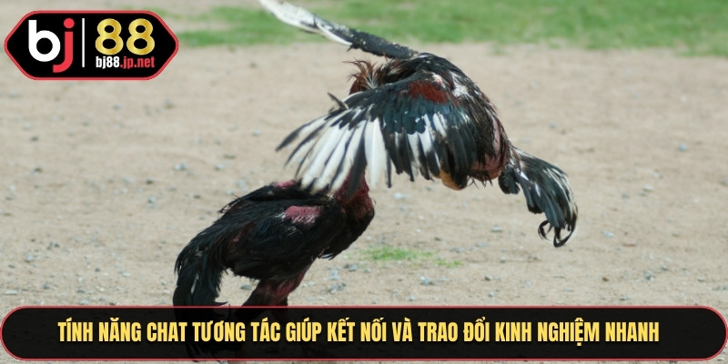 Tính năng chat tương tác giúp kết nối và trao đổi kinh nghiệm nhanh